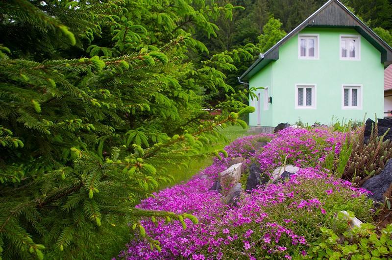 Villa Pataki Kulcsosház Izvoare  Esterno foto